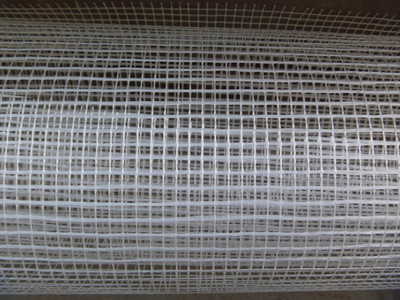 安平縣隆澳金屬絲網(wǎng)制品廠 卓越品質(zhì)，編織未來